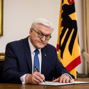 Zalkaliani neglects that Steinmeier brings a peace plan to Georgia