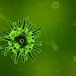 Armenian government closes educational institutions; Georgian state institutions to work in remote mode amid Coronavirus pandemic