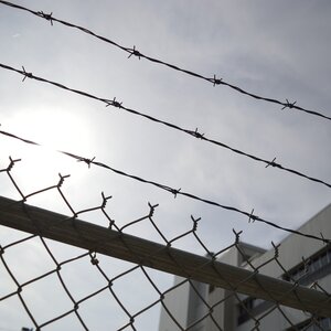 South Caucasus countries in Council of Europe imprisonment statistics