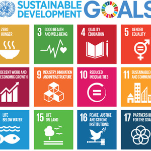 South Caucasus countries in UN’s Sustainable Development Goals Index