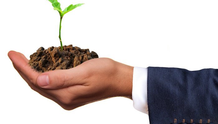 Der Grüne Klimafonds genehmigt ein großes Forstprojekt in Armenien