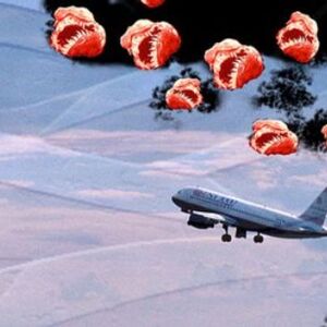 Die Botschaften der USA und Israels verbieten ihren Mitarbeitern, mit armenischen Fluggesellschaften zu reisen