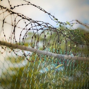 „Novaya Gazeta“ berichtet über außergerichtliche Hinrichtungen in Tschetschenien