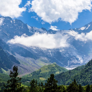 Anti-Terrorism Committee on the killing of 84 alleged militants in the North Caucasus