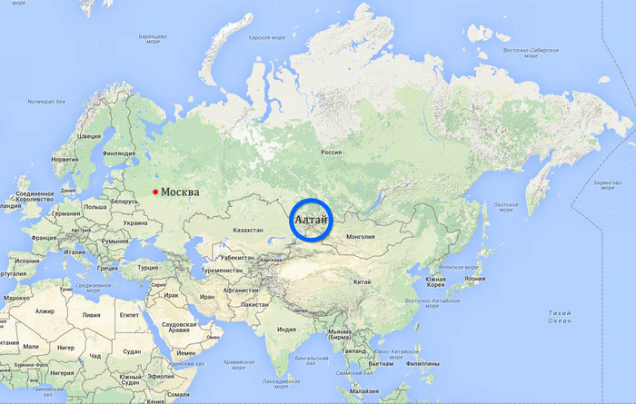 The Kremlin reacted to the 