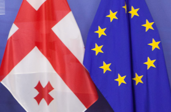 Legal changes, FM’s visit to Czech Republic and EU membership questionare in Georgia