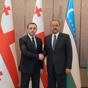 A Georgian Delegation Visits Uzbekistan
