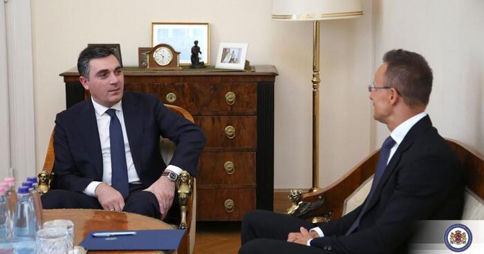 The Georgian Foreign Minister Meets His Counterpart in Budapest