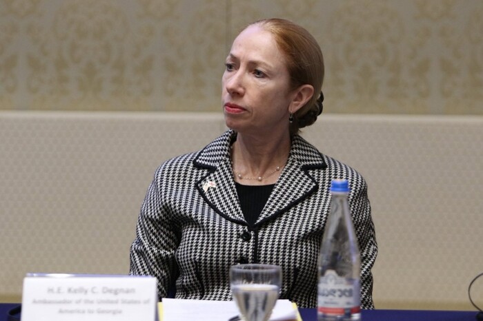 U.S. Ambassador to Georgia Disagrees With Kobakhidze’s Statements Regarding International Society for Fair Elections and Democracy