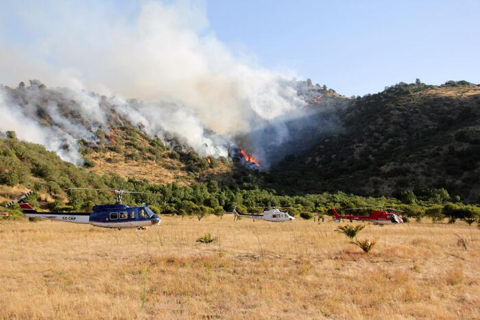 Irakli Garibashvili on Recent Wildfires and New Helicopters