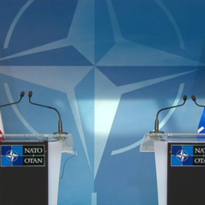 Georgian and Azerbaijani Parliamentary Delegation Participate in NATO Parliamentary Assembly