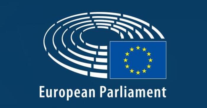 European Parliament Supports Accelerating Georgia's EU Membership Bid