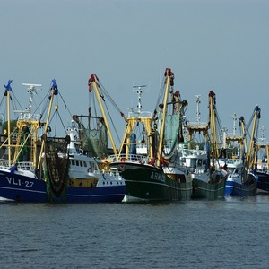 Streik am Hafen Batumi