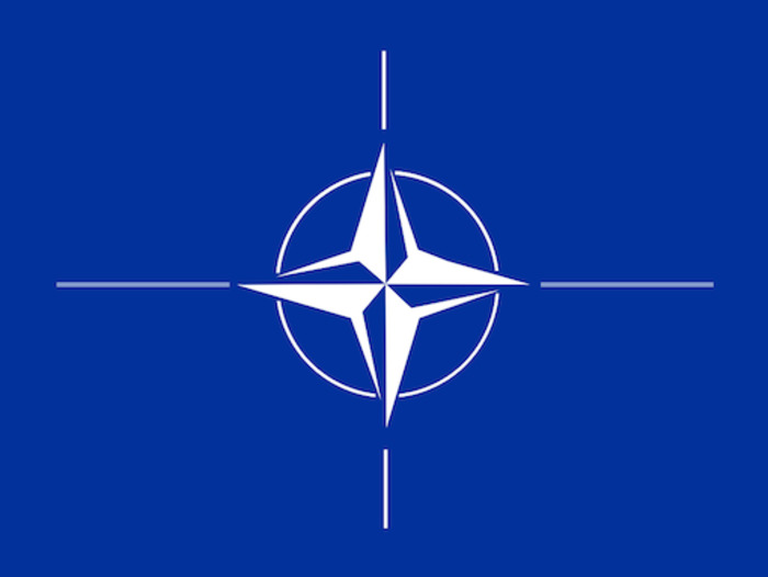 Georgien bereit für die NATO-Mitgliedschaft?